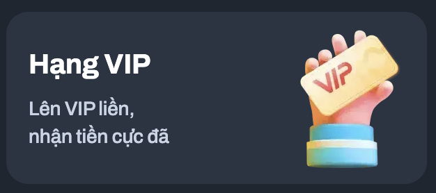 hnag-vip