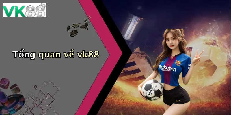 Tổng quan về vk88
